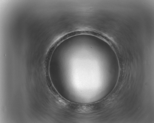 X0000067341311200604071341