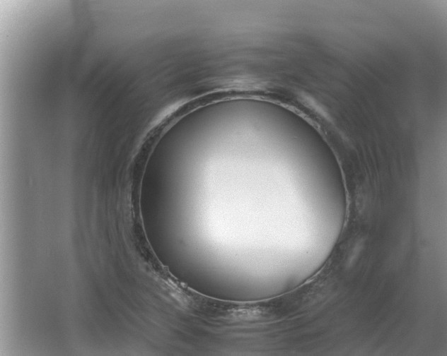 X0000067341315200604071341