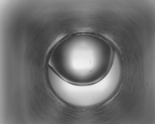 X0000067341317200604071341