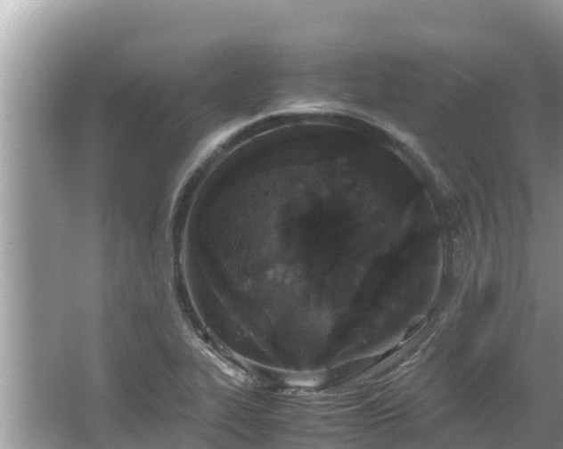 X0000067341319200604071341