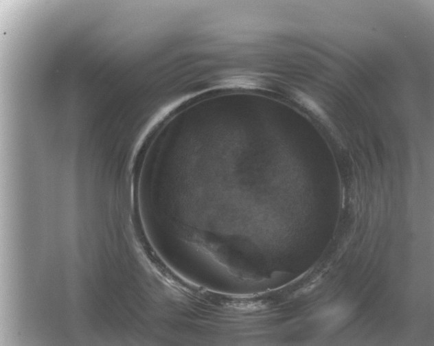 X0000067341323200604071341