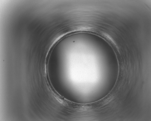 X0000067341324200604071341