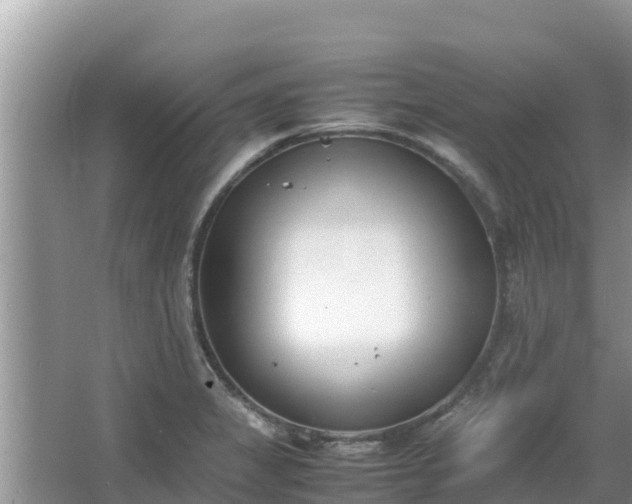 X0000067341325200604071341