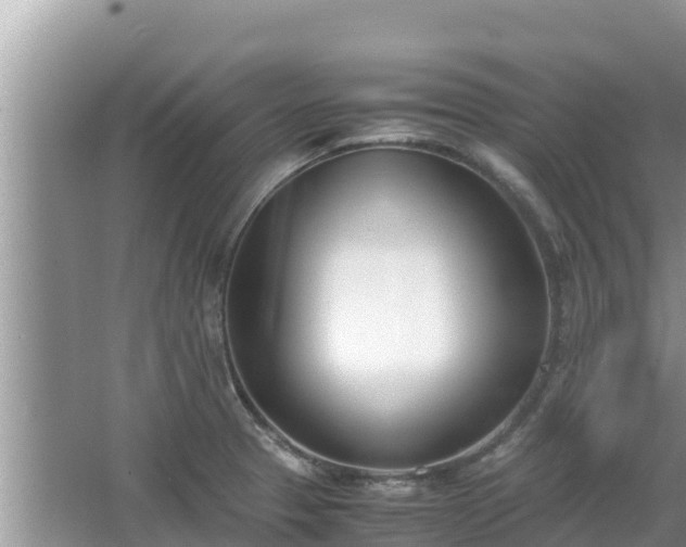 X0000067341329200604071341