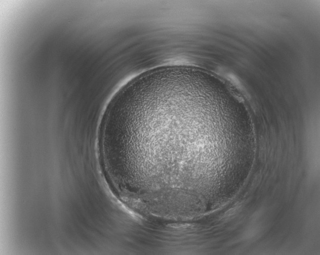 X0000067341331200604071341