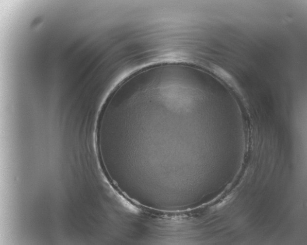 X0000067341334200604071341