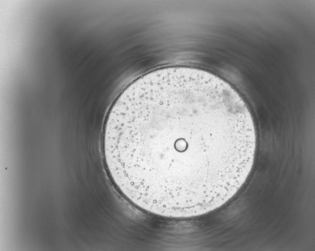 X0000067341338200604071341