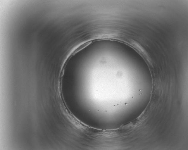 X0000067341340200604071341