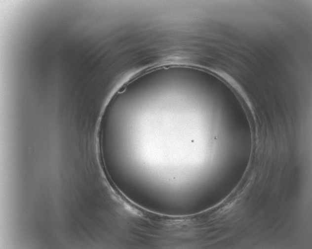 X0000067341341200604071341