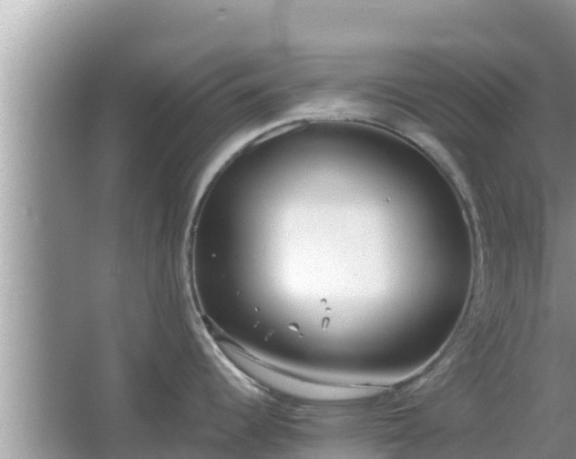 X0000067341344200604071341