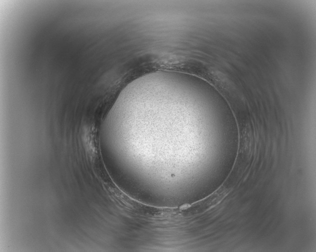 X0000067341346200604071340