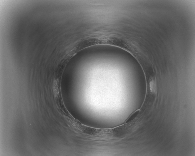 X0000067341347200604071340