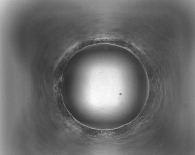 X0000067341351200604071340