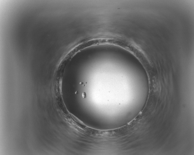 X0000067341352200604071340