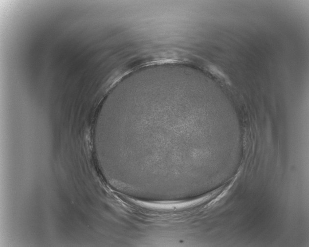 X0000067341353200604071340