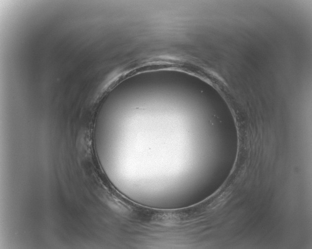 X0000067341355200604071340