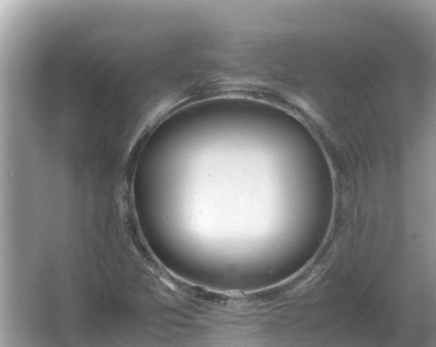 X0000067341357200604071340