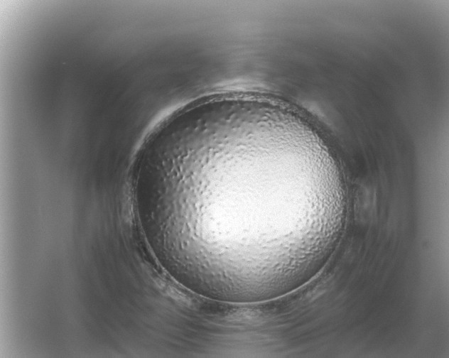 X0000067341358200604071340