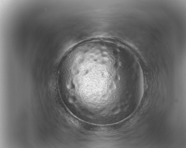 X0000067341359200604071340