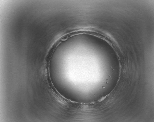 X0000067341360200604071340