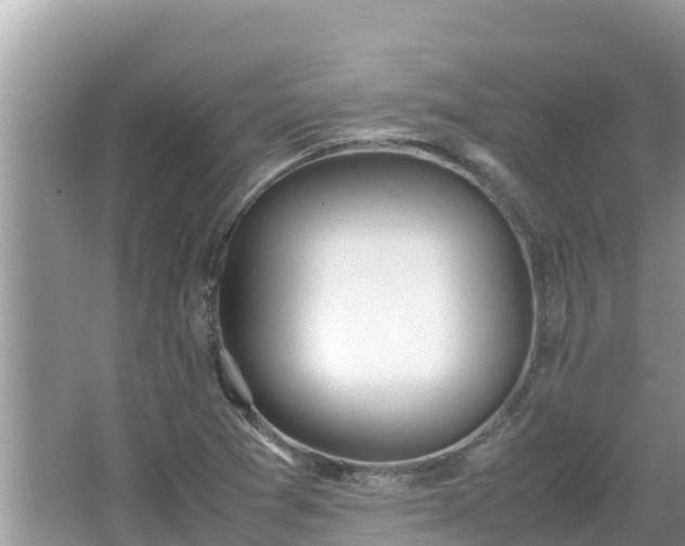 X0000067341361200604071340