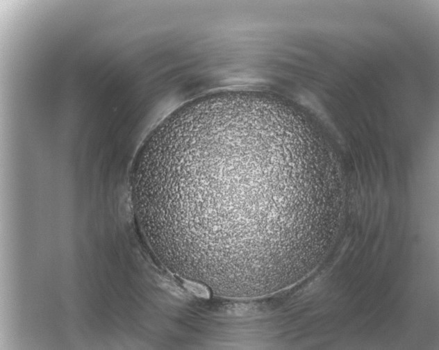 X0000067341362200604071340