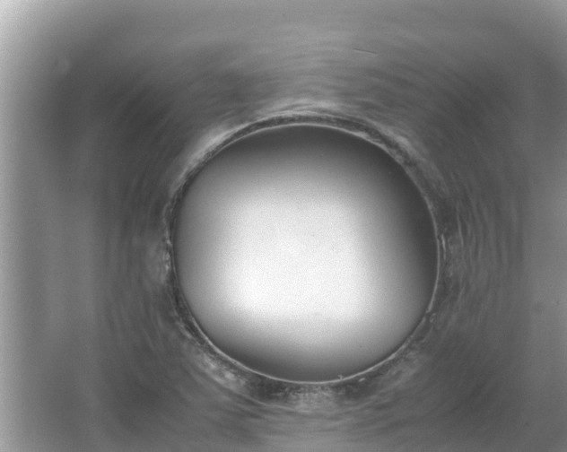 X0000067341363200604071340