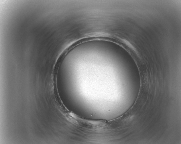 X0000067341364200604071340