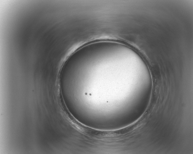 X0000067341367200604071340