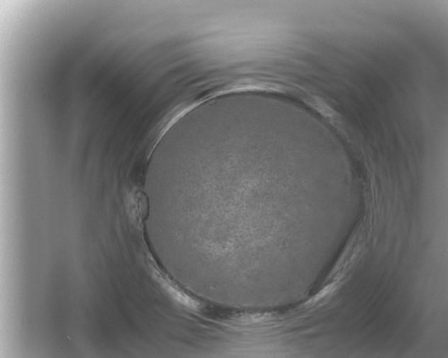 X0000067341369200604071340