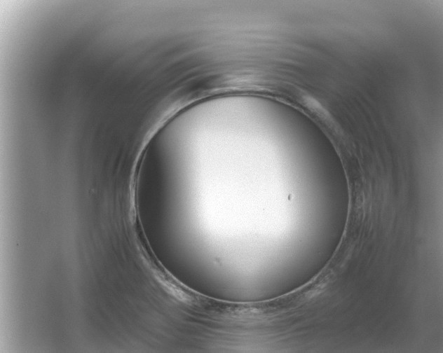 X0000067341370200604071340