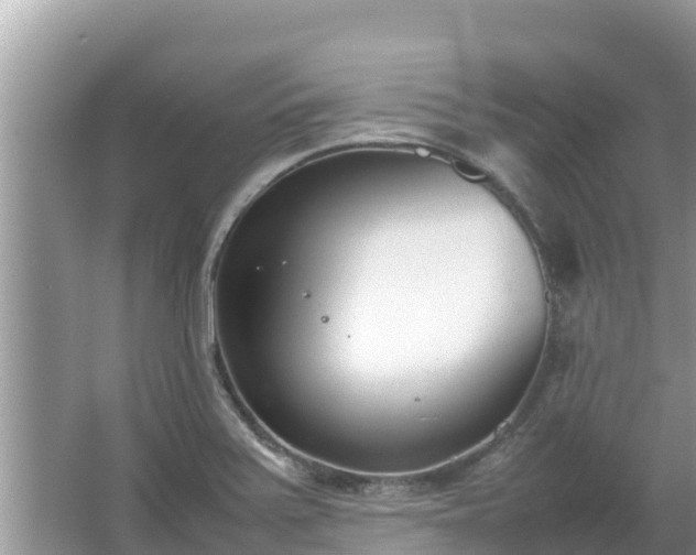 X0000067341371200604071340