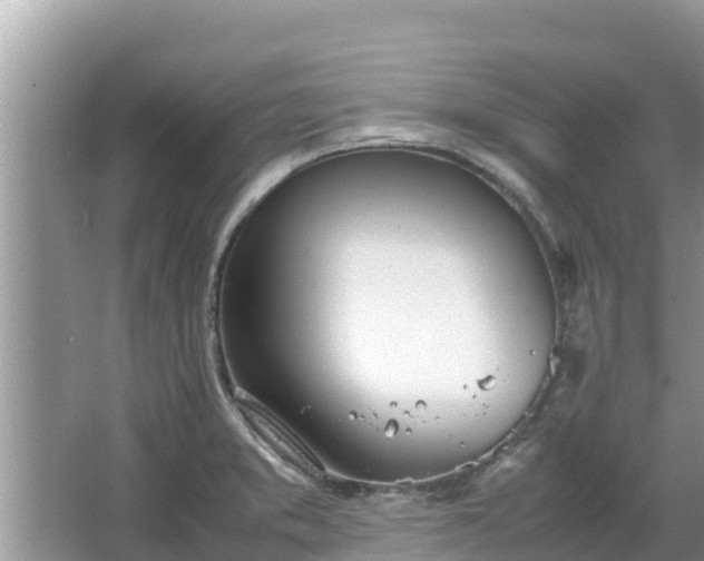 X0000067341373200604071340