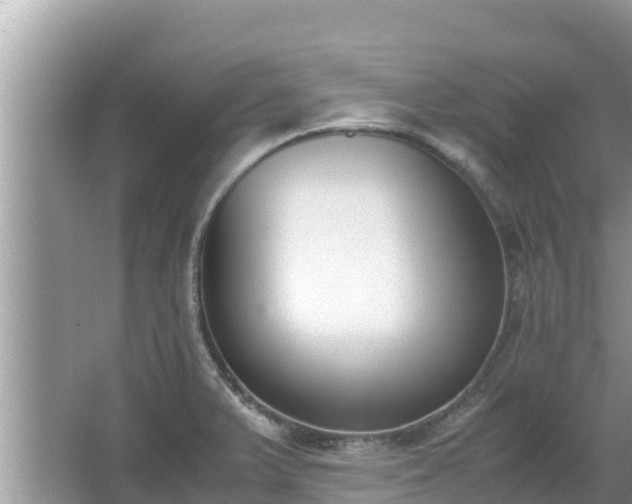 X0000067341375200604071340