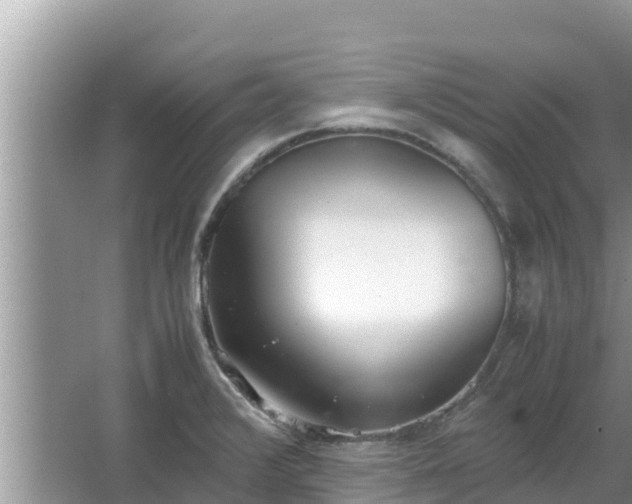 X0000067341376200604071340