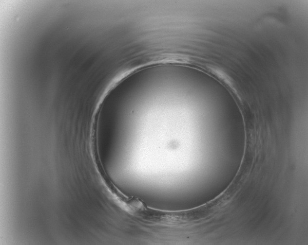 X0000067341379200604071340