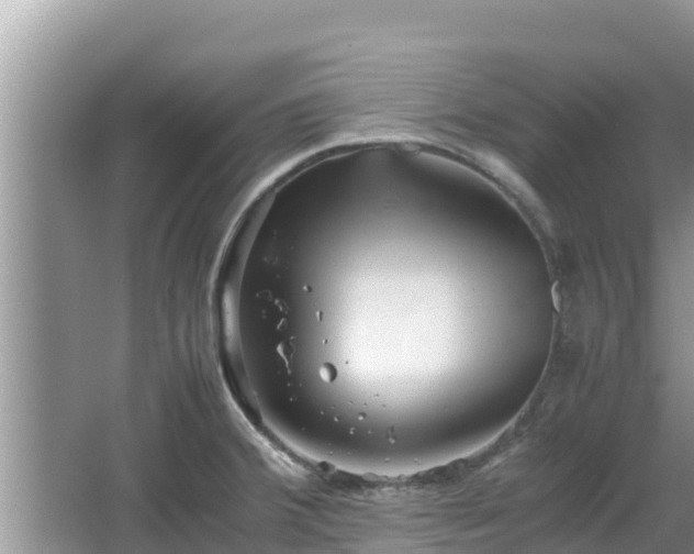 X0000067341380200604071340