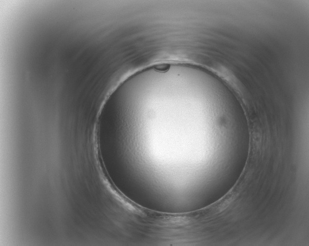 X0000067341382200604071340