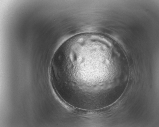 X0000067341383200604071340