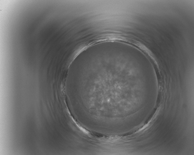 X0000067341385200604071340