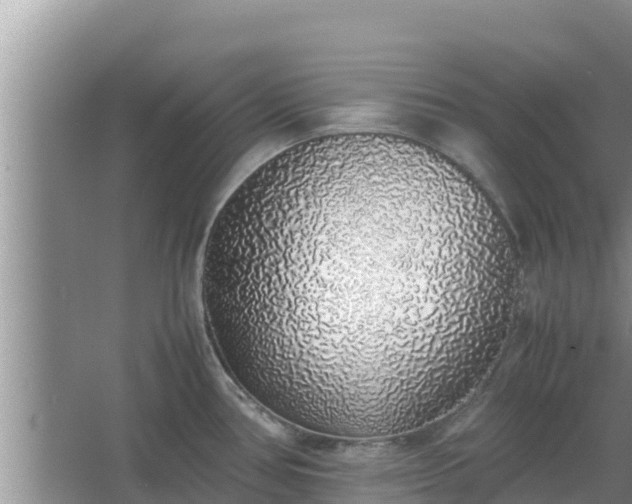 X0000067341386200604071340