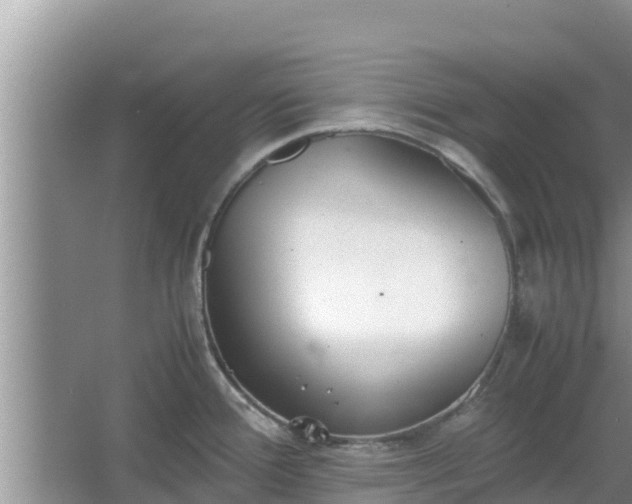 X0000067341388200604071340