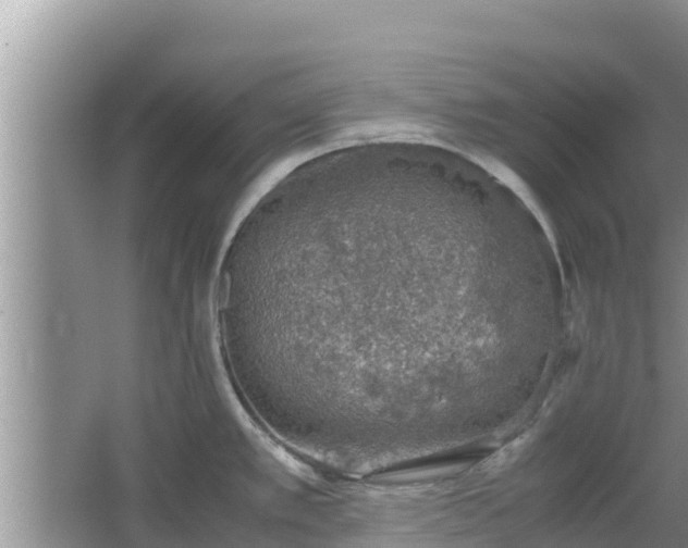 X0000067341389200604071340