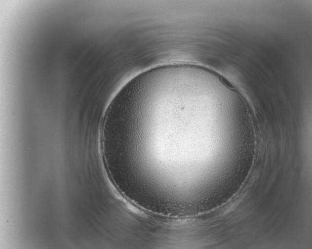 X0000067341390200604071340