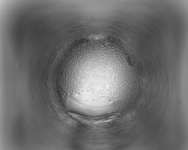 X0000067341393200604071339