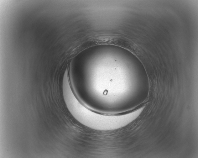 X0000067341394200604071339