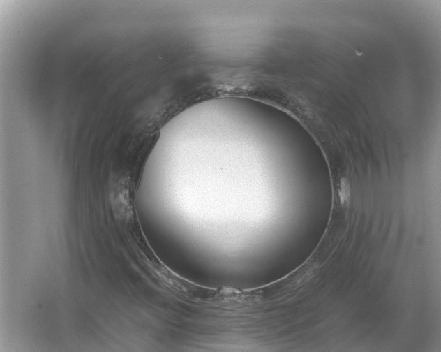 X0000067341396200604071339