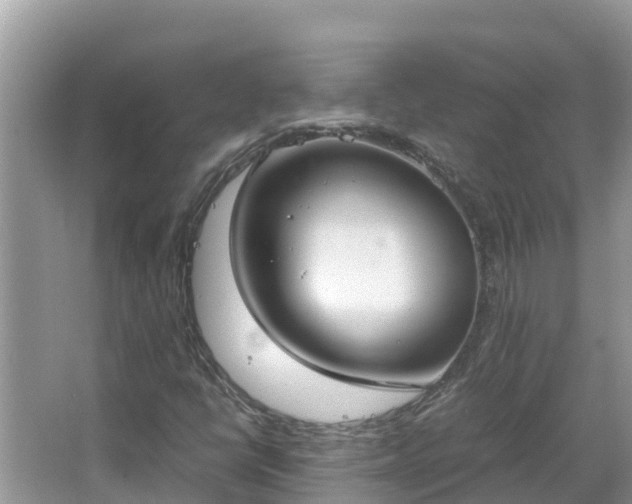 X0000067341398200604071339