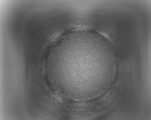 X0000067341399200604071339