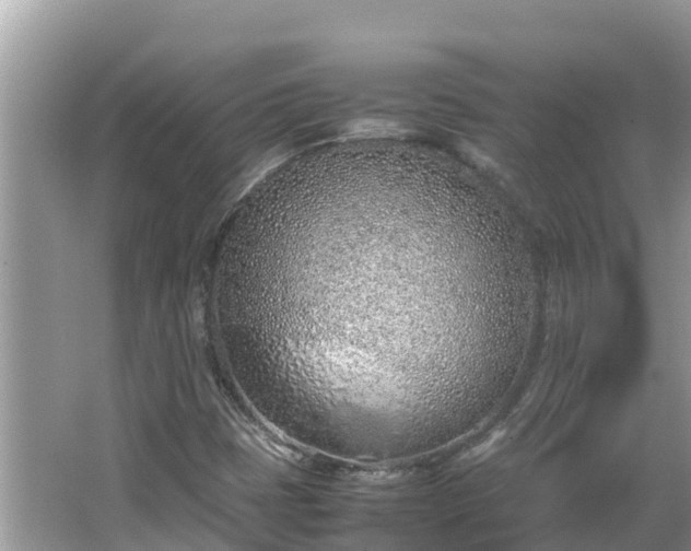 X0000067341401200604071339